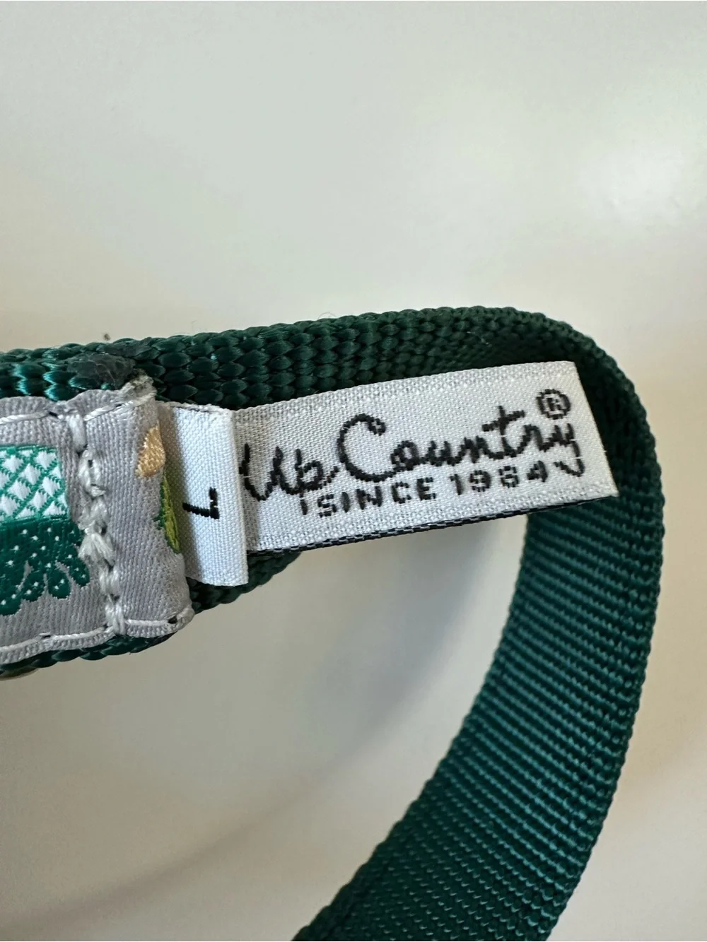 Up Country Green Cactus Print Adjustable Dog Collar with Gold Ring